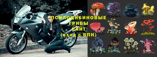 mdma Костерёво