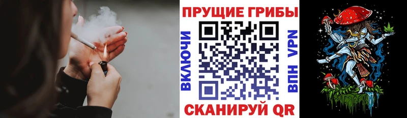 Купить  Вилючинск  Псилоцибиновые грибы GOLDEN TEACHER 